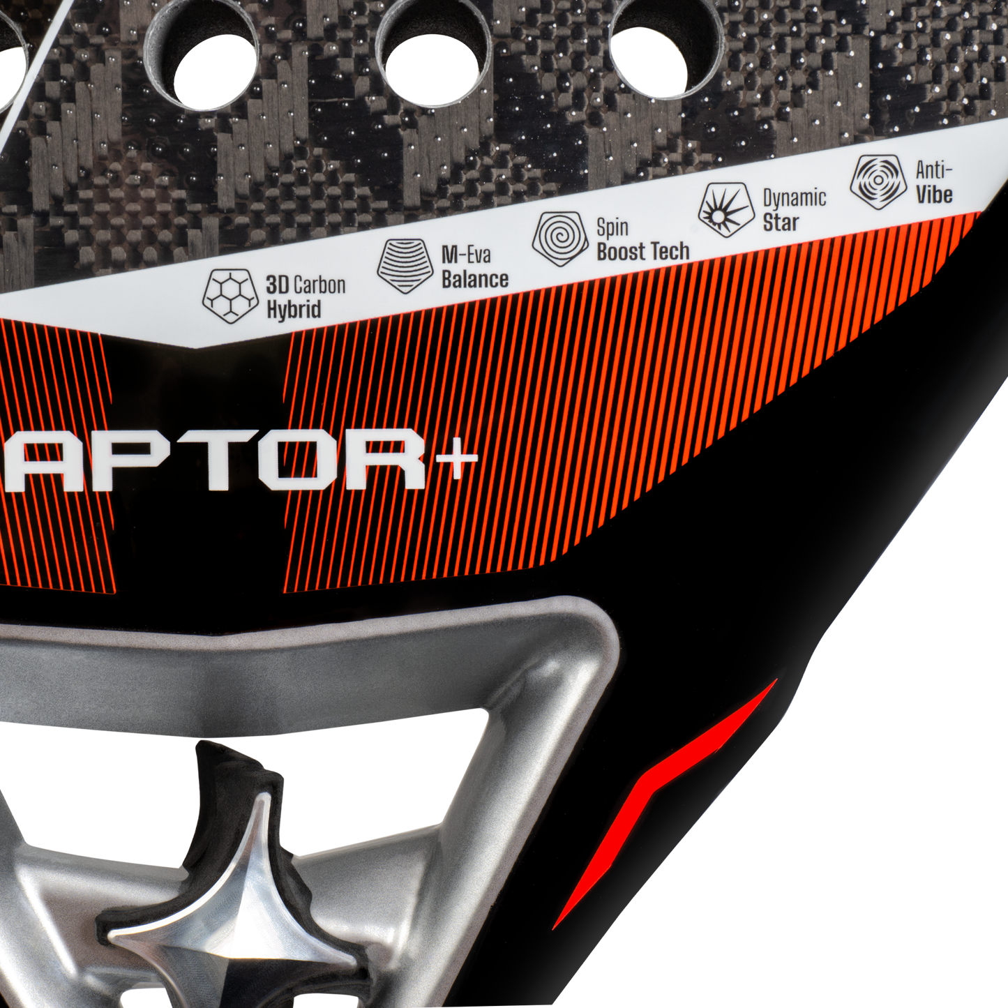 Raptor 2026