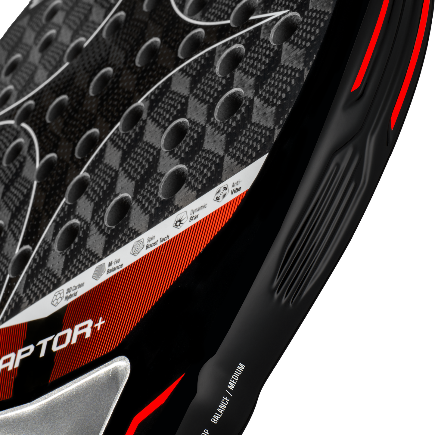 Raptor 2026